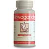 CONCESSIONARIA ITALIA Benefica Ashwagandha Alta Qualità Titolato 2.5% In Withanolidi 60 Capsule