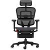 PROCOMFORT Gaming Poltrona ERGOHUMAN Ultra X9 con POGGIAPIEDI E BRACCIOLI MULTIANGOLO in Mesh (Nero)