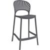 Cribel Set da 2 Sgabelli Shell in Polipropilene, Design Moderno con Schienale Traforato a Raggi, Poggiapiedi e Seduta Ergonomica Interni ed Esterni Colore Antracite H65 39x53x96 cm
