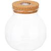 Abaodam Bottiglia Micro Landscape per Terrario Piante Vetro Chiuso LED | Vetro Borosilicato Alto e Legno, Facile da Osservare, Illuminazione Led, Bianco