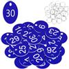 Flintronic Portachiavi Numerati, Targhette Numerate in Plastica, 30 Pezzi | Piccole Impermeabili Con Targhette Identificative, Tag Portachiavi Per Hotel, Scuole, Uffici, Valigie, Negozio, Fabbrica