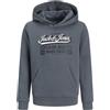JACK & JONES Jjelogo Sweat Hood 2 col Aw25 Noos Jnr Uomo