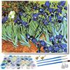 liziciti Vincent Van Gogh, pittura a olio con fiori di mandorla, lavori fai da te, per adulti, bambini, principianti, 40 x 50 cm, incorniciata (iris)