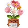 Aloskart Fiori all'Uncinetto - Regalo Donna Compleanno, Mini Fiori in Vaso | Mai appassiti, Senza Acqua. Regalo Mamma Compleanno, Regalo Sorella, Amica. Con Card, Pronti Da Regalare Per Scrivania O Casa