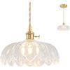 NETHCUEL Lampadario a Sospensione Regolabile Trasparente per Isola Cucina, Lampadario Vintage in Ottone, Lampadario Vetro, Adatto per Camera da Letto, Sala da Vivere, Stanza da Pranzo, Lampadine Non Incluse