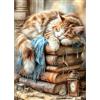 CEOVR Diamond Painting Kit Gatto DIY Pittura Diamante Kits 30x40cm Mosaico Diamanti Painting per Decorazioni Casa Animale E Libro