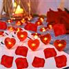 GoldRock Catena luminosa a LED con 1000 petali di rosa, coriandoli, 2 m, 20 LED, a forma di cuore, a forma di cuore, per regali, San Valentino, matrimonio