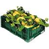 Generico LIMONI NON TRATTATI e GARANTITI BUCCIA EDIBILE - 18 KG - CALIBRO MISTO - Giardino Digitale - Prodotti in Calabria - ITALIA
