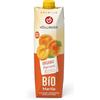 HÖLLINGER - JUST LOVING NATURE Höllinger Albicocca Bio 1000 ml, con purea di albicocca spremuta direttamente, da agricoltura biologica, senza additivi artificiali, vegan