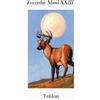 Tekkan Everyday Mind XXIII (Tascabile) Everyday Mind