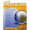 Maria Miller Math Mammoth Grade 4 Review Workbook (Tascabile)