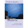 Joseph a Sj Bracken The Divine Matrix (Tascabile)