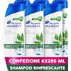 Head & Shoulders Tea Tree Rinfrescante Shampoo Antiforfora 250ml X6, per Uso Quotidiano, Fino al 100% Protezione dalla Forfora, Clinicamente Testato, per Tutti i Tipi di Cute e Capelli