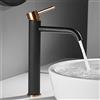 TIMACO Rubinetto da bagno, miscelatore monocomando per lavabo, lavandino, acqua calda e fredda disponibile,nero e oro