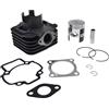 NARAKU Kit termico NARAKU 70cc compatibile con Piaggio Sfera NSL 50 TT 91-94 NSL1T | Sportivo in ghisa, spinotto 12 millimetri; compatibile con Vespa Primavera, compatibile con Zip SSL, compatibile con NRG mc²