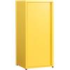 HollyHOME Armadietto portaoggetti in metallo a una porta, armadio da ufficio con chiusura magnetica, raccoglitore a ripiani regolabili per soggiorno, giallo chiaro