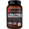 T-rex Integratore Creatina Monoidrato Integratore Sportivo Gusto Neutro 250g