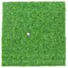 BEALIFE Tappetino da golf indoor per mini-allenamento su sintetica | l'allenamento dello swing.