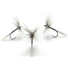 Mosche Artificiali Massimo Clini Red Spinner Grey Dry Fly - 5 mosche secche da pesca a mosca montate a mano su amo, Misura amo a scelta, per trota e temolo, Made in Italy
