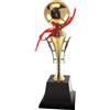Bffcnl Trofeo Sferico, Coppa, Premio di Competizione, Grande Pallone da Calcio, Palla d'oro, Trofeo per La Decorazione Dell'ufficio