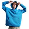 UNDER ARMOUR Felpa UA ICON FLEECE HOODIE