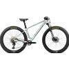 ORBEA Bici Mtb Front Bici Mtb Front Orbea Frozen Concrete - Titanium Gloss 2027