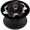 4FlatCoatedRetrieverLovers Divertente piatto rivestito retriever sbirciando carino amante dei cani mamma papà PopSockets PopGrip Adesivo