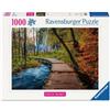 Ravensburger Puzzle 12001764 - Autumn Forest Trail, collezione Beautiful Walkways, puzzle da 1000 pezzi per gli amanti della natura e gli appassionati di escursionismo dai 14 anni in su
