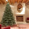 Albero di Natale Pino Spark Nature H 270 cm EDG Enzo De Gasperi con 8400 Mini LED Integrati