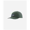Patagonia P-6 Label Trad - Berretto - Verde