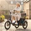 Daibot Bicicletta elettrica a 3 ruote a 2 posti per adulti, triciclo elettrico genitore-figlio da 650W con sedile posteriore, bici elettrica pieghevole per anziani