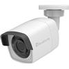 LevelOne GEMINI FIXED IP NETWORK CAMERA 57304907201