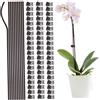 Hilai 10 bastoncini di supporto per piante con 60 clip per piante, 16 bastoncini pieghevoli a stelo singolo, supportano paletti da giardino rivestiti in plastica per Phalaenopsis, orchidea, giglio, rosa