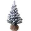 ABETE INNEVATO C/SACCO PVC