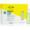 Yellow Professional Scalp Care Energizing Lotion 12x13 ml