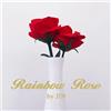 ColorBloomix Rosa Arcobaleno Cambio Colore Doppio Trucco Magia Illusionismo Palco Close-Up