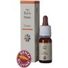 Gorse Guna Gocce 10 Ml