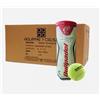 Bullpadel Premium Pro cartone da 24 tubi di palline