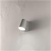 Ondaluce Applique OWEN per esterni LED in alluminio Silver e diffusore in vetro 8x12 cm
