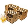 Tecno Air System Bioetanolo liquido 36 bottiglie da 1 lt ethaline