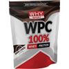 WHY SPORT WPC 100% Whey 1 kg - WHY SPORT - Choco Milk