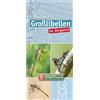 Heimische Großlibellen im Vergleich (Quelle & Meyer Bestimmungskarte (Tascabile)