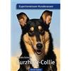 Claudia Schmidt Kurzhaar-Collie: Expertenwissen Hunderassen (Tascabile)