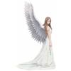 Nemesis Now Anne Stokes statua Spirito Guida 24 cm