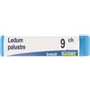 BOIRON Ledum Palustre 9Ch Globuli Monodose Boiron