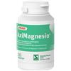 SCHWABE PHARMA ITALIA Srl Schwabe Pharma, Aximagnesio, 100 Compresse