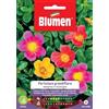Blumen SEMI PORTULACA GRANDIFLORA BLUMEN SEMENTI FIORI