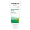 Weleda Dental Care 75 ml