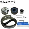 SKF Kit cinghia distribuzione con profilo dente arrotondato VKMA 01255 SKF per VW