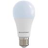 BLAUPUNKT E27 A65 Lampadina LED 18W 6000K Bianco Freddo, Confezione singola | Non dimmerabile, Fascio ampio, Attacco a vite E27, Senza sfarfallio, IRC elevato - per garage, officine e cantine